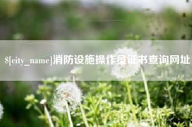 无棣消防设施操作员证书查询网址