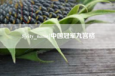 无棣中国冠军九宫格