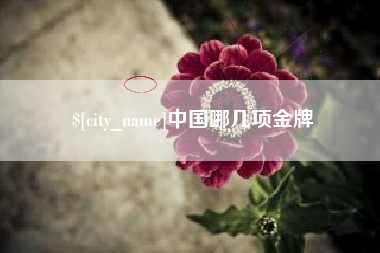 无棣中国哪几项金牌