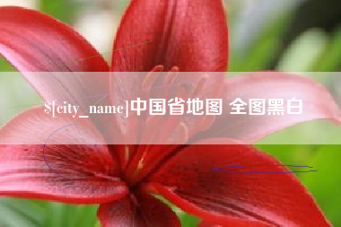 无棣中国省地图 全图黑白