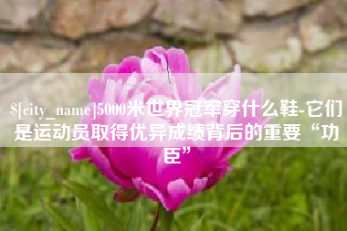 无棣5000米世界冠军穿什么鞋-它们是运动员取得优异成绩背后的重要“功臣”
