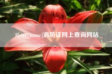 无棣消防证网上查询网站