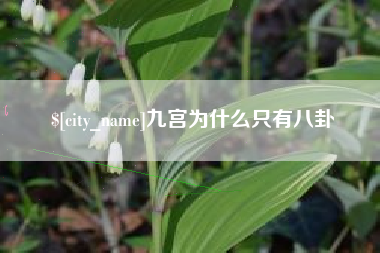 无棣九宫为什么只有八卦