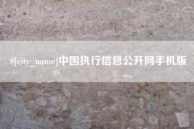 无棣中国执行信息公开网手机版