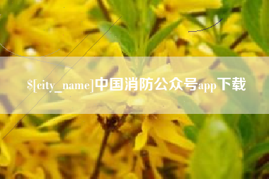 无棣中国消防公众号app下载