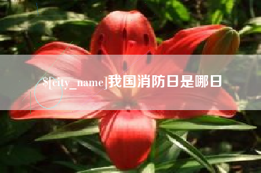 无棣我国消防日是哪日