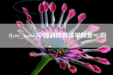 无棣中国消防救援学院是985吗