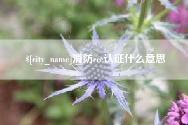 无棣消防ccc认证什么意思
