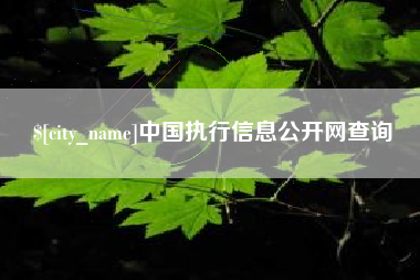 无棣中国执行信息公开网查询
