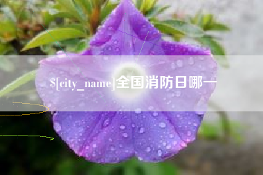 无棣全国消防日哪一