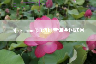 无棣消防证查询全国联网
