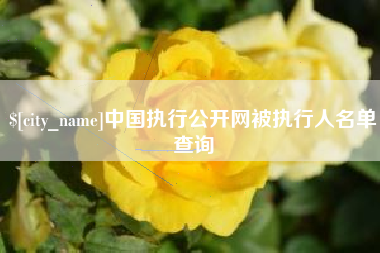 无棣中国执行公开网被执行人名单查询
