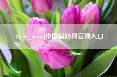 无棣中国消防网官网入口