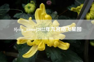 无棣2022年九宫格飞星图