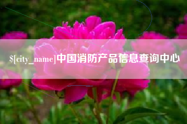无棣中国消防产品信息查询中心
