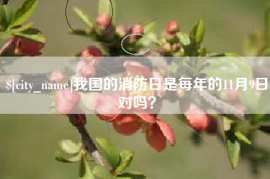 无棣我国的消防日是每年的11月9日对吗？