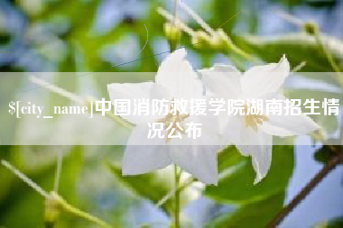 无棣中国消防救援学院湖南招生情况公布