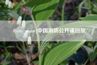 无棣中国消防公开课回放