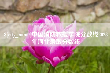 无棣中国消防救援学院分数线2023年河北录取分数线