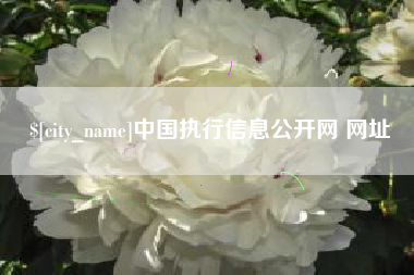 无棣中国执行信息公开网 网址
