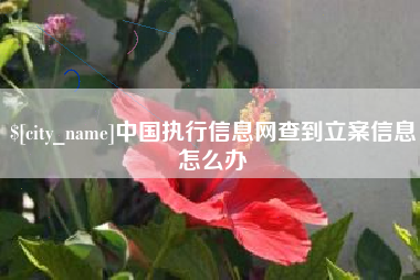 无棣中国执行信息网查到立案信息怎么办