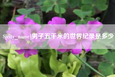 无棣男子五千米的世界纪录是多少