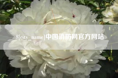无棣中国消防网官方网站
