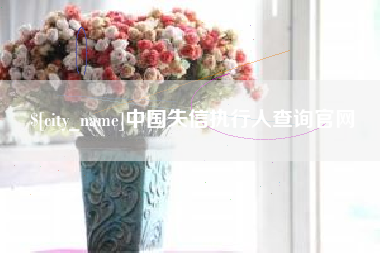 无棣中国失信执行人查询官网