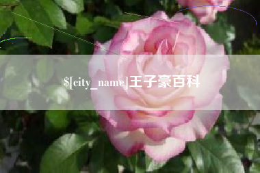 无棣王子豪百科