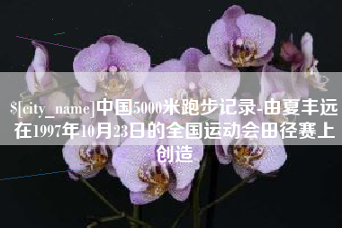 无棣中国5000米跑步记录-由夏丰远在1997年10月23日的全国运动会田径赛上创造
