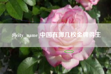 无棣中国有哪几枚金牌得主