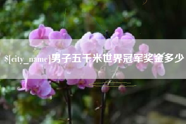无棣男子五千米世界冠军奖金多少