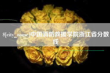 无棣中国消防救援学院浙江省分数线