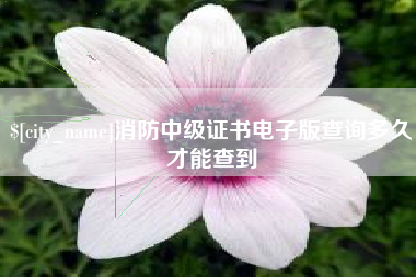 无棣消防中级证书电子版查询多久才能查到