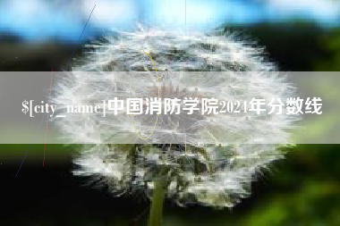 无棣中国消防学院2024年分数线