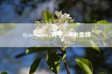无棣男子5000米金牌