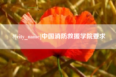 无棣中国消防救援学院要求