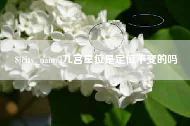 无棣九宫星位是定位不变的吗