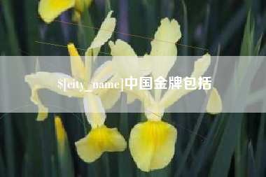 无棣中国金牌包括