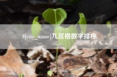 无棣九宫格数字排序