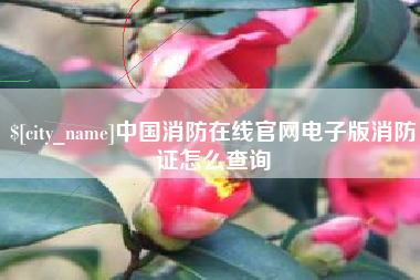 无棣中国消防在线官网电子版消防证怎么查询
