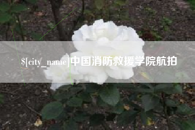 无棣中国消防救援学院航拍