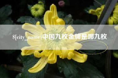 无棣中国九枚金牌是哪九枚