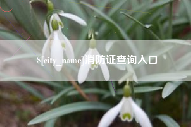 无棣消防证查询入口