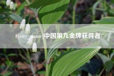 无棣中国第九金牌获得者