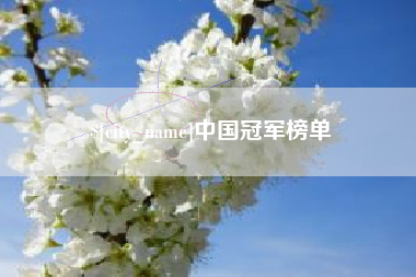 无棣中国冠军榜单