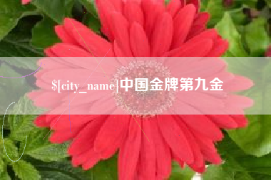 无棣中国金牌第九金