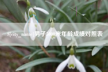 无棣男子5000米年龄成绩对照表