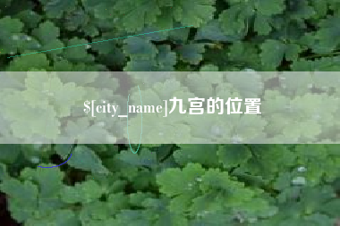 无棣九宫的位置