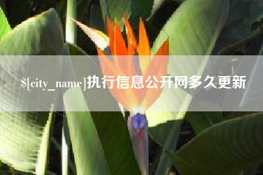 无棣执行信息公开网多久更新